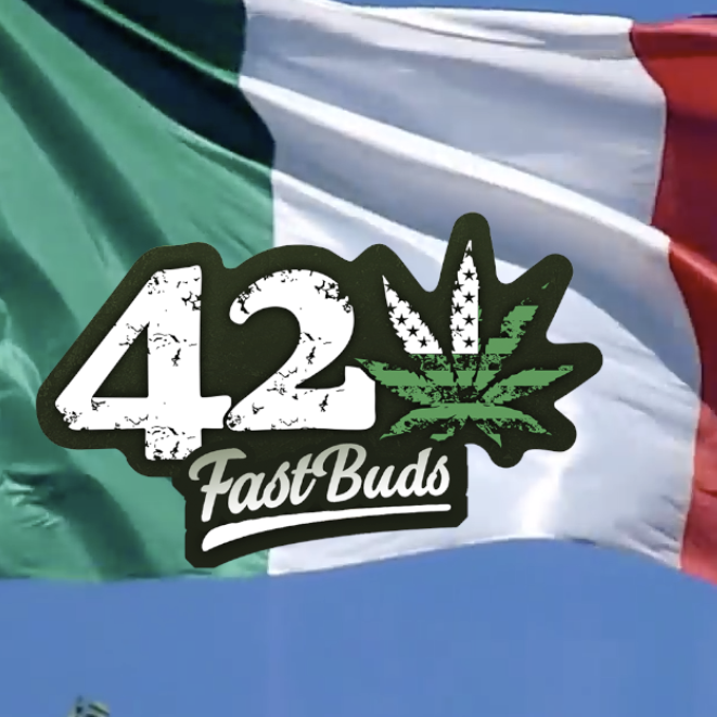 Fast Buds Italia Official