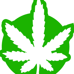 Hemporio Cannabis Store